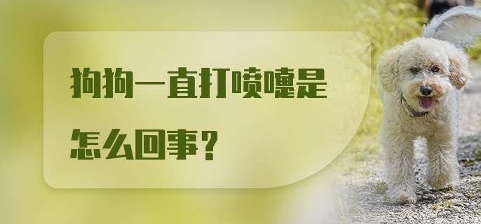 狗狗一直打喷嚏是怎么回事?