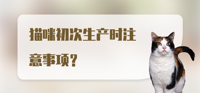 猫咪初次生产时注意事项?