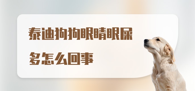 泰迪狗狗眼睛眼屎多怎么回事