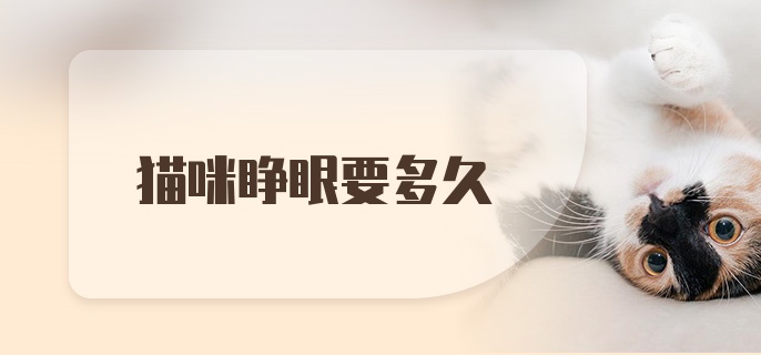 猫咪睁眼要多久