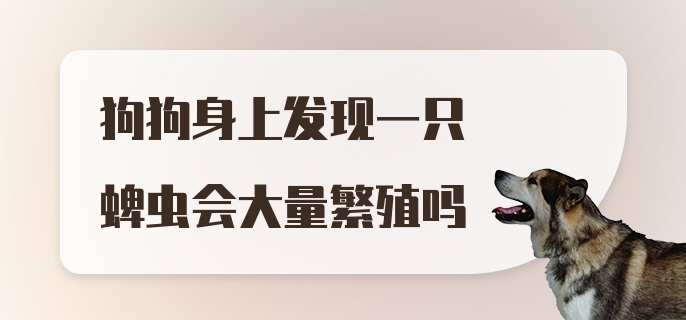 狗狗身上发现一只蜱虫会大量繁殖吗