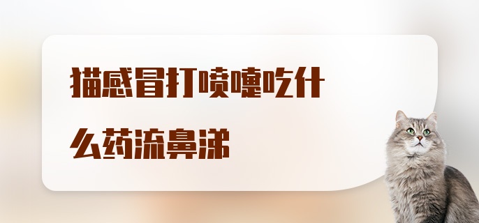 猫感冒打喷嚏吃什么药流鼻涕