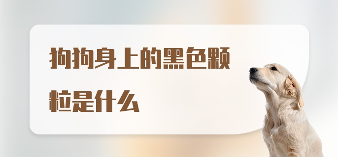 狗狗身上的黑色颗粒是什么