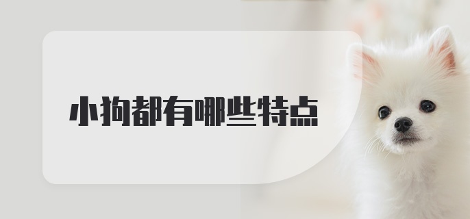 小狗都有哪些特点