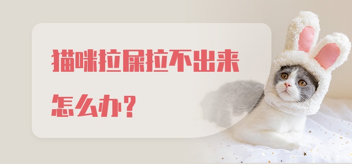 猫咪拉屎拉不出来怎么办？