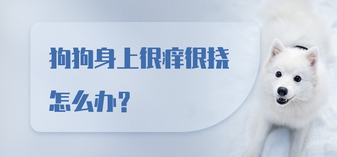 狗狗身上很痒很挠怎么办？