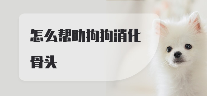 怎么帮助狗狗消化骨头