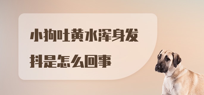 小狗吐黄水浑身发抖是怎么回事