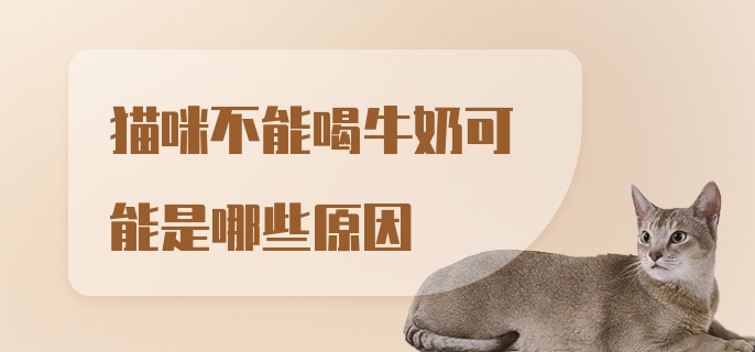 猫咪不能喝牛奶可能是哪些原因