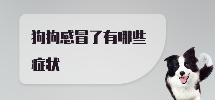 狗狗感冒了有哪些症状