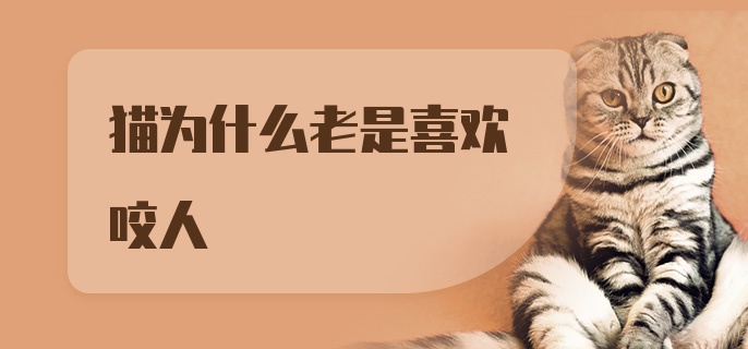 猫为什么老是喜欢咬人