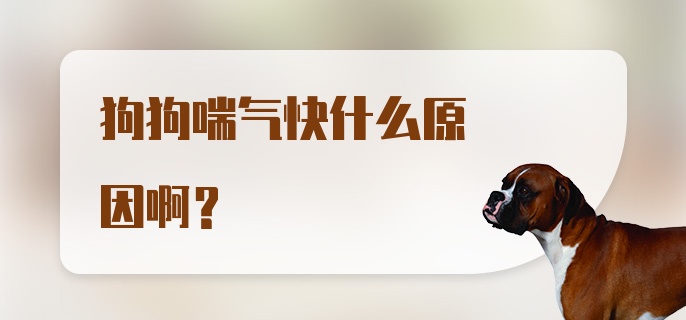 狗狗喘气快什么原因啊?