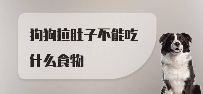 狗狗拉肚子不能吃什么食物