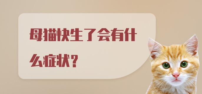 母猫快生了会有什么症状？