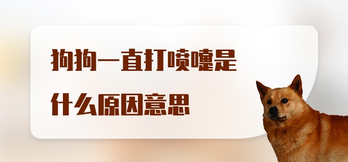 狗狗一直打喷嚏是什么原因意思