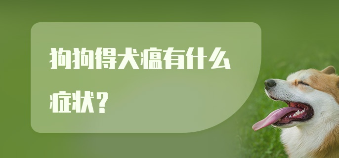 狗狗得犬瘟有什么症状？