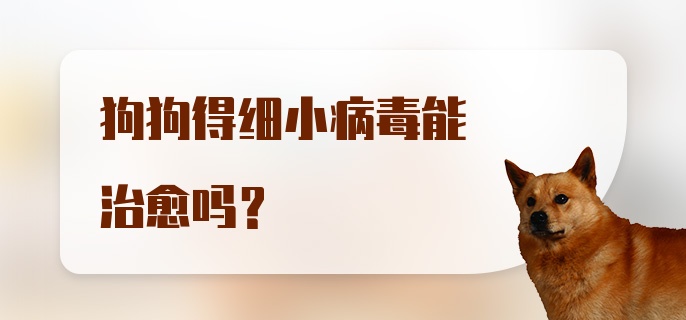 狗狗得细小病毒能治愈吗?