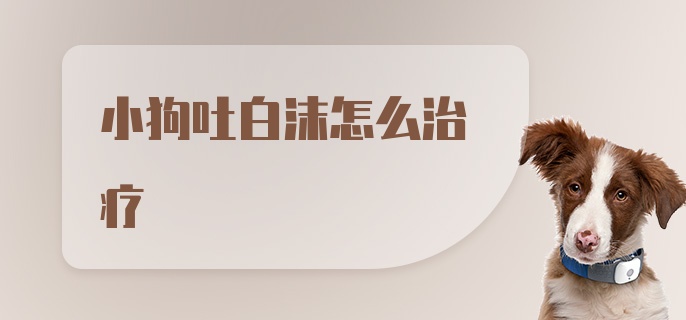 小狗吐白沫怎么治疗