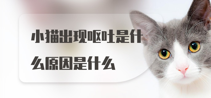 小猫出现呕吐是什么原因是什么