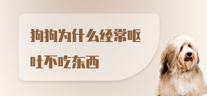 狗狗为什么经常呕吐不吃东西