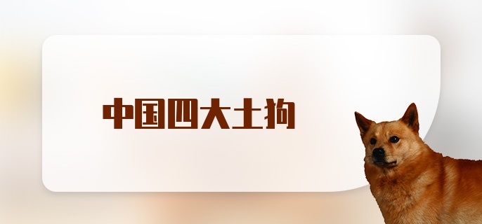 中国四大土狗