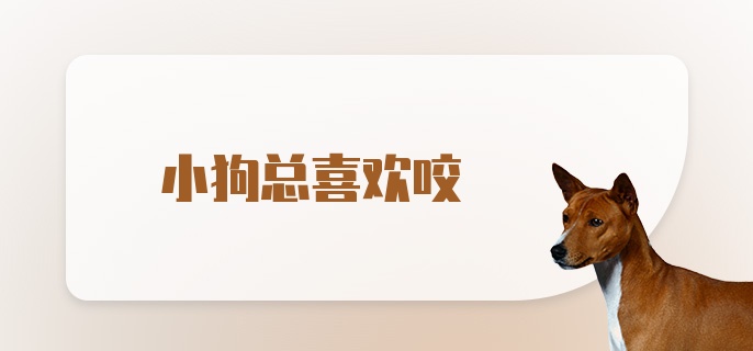 小狗总喜欢咬是什么原因