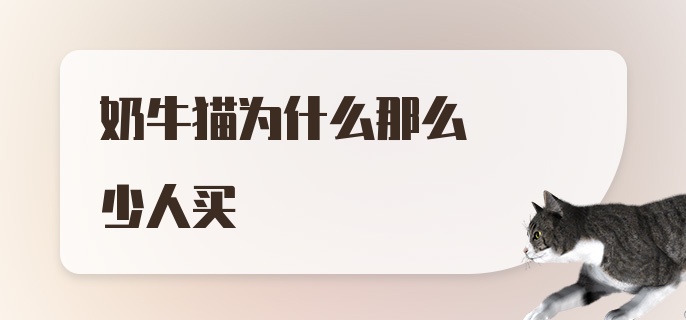 奶牛猫为什么那么少人买