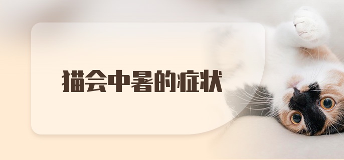 猫会中暑的症状