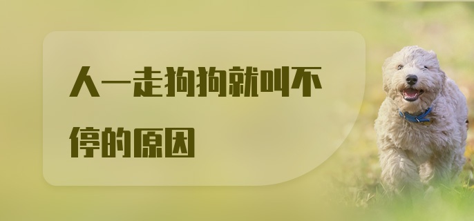 人一走狗狗就叫不停的原因