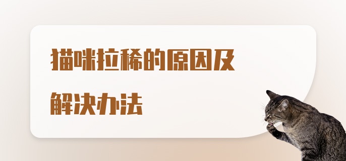 猫咪拉稀的原因及解决办法