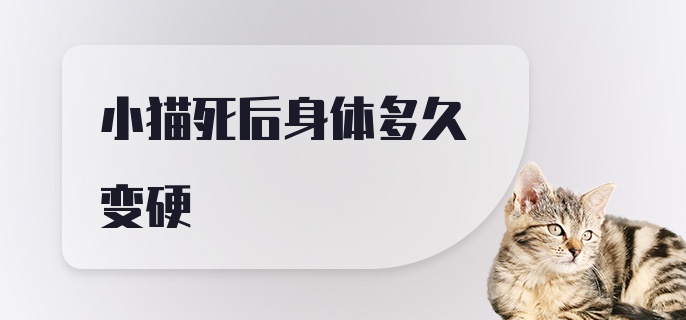 小猫死后身体多久变硬