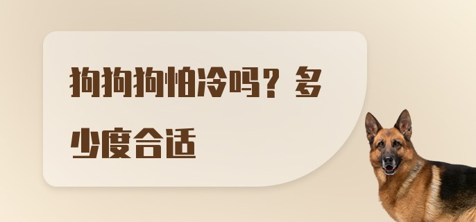 狗狗狗怕冷吗？多少度合适