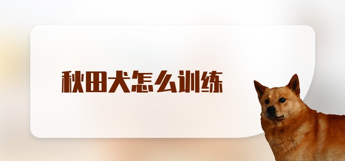 秋田犬怎么训练