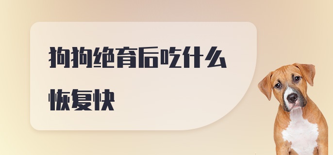 狗狗绝育后吃什么恢复快