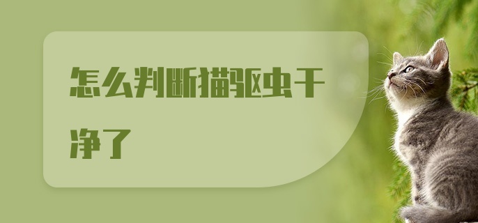 怎么判断猫驱虫干净了