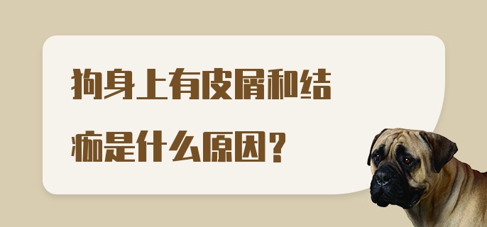 狗身上有皮屑和结痂是什么原因？