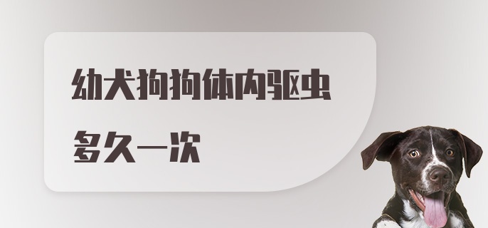 幼犬狗狗体内驱虫多久一次