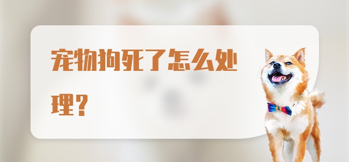 宠物狗死了怎么处理?