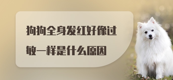 狗狗全身发红好像过敏一样是什么原因