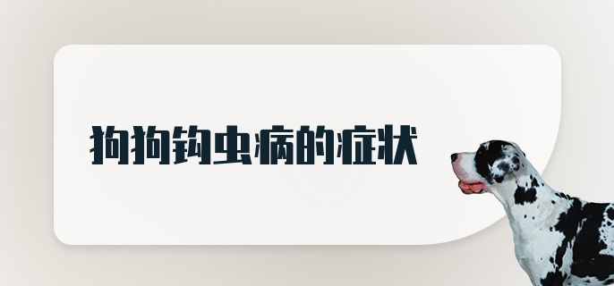 狗狗钩虫病的症状