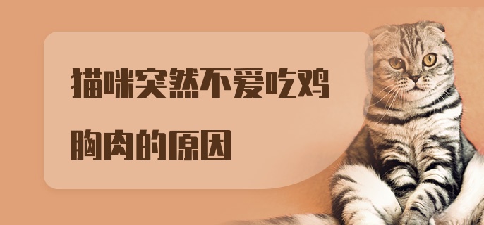 猫咪突然不爱吃鸡胸肉的原因