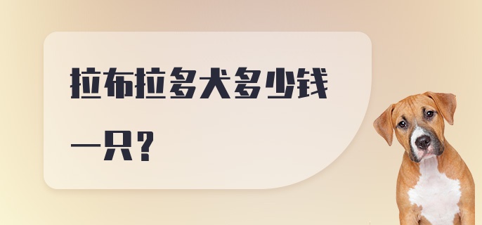 拉布拉多犬多少钱一只？