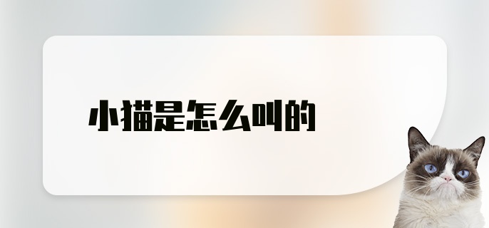 小猫是怎么叫的