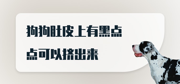 狗狗肚皮上有黑点点可以挤出来