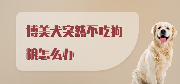 博美犬突然不吃狗粮怎么办