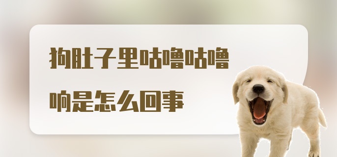 狗肚子里咕噜咕噜响是怎么回事