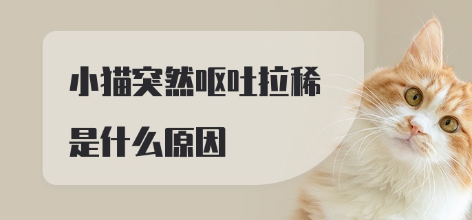 小猫突然呕吐拉稀是什么原因