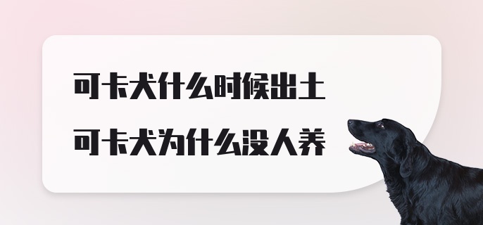 可卡犬什么时候出土可卡犬为什么没人养