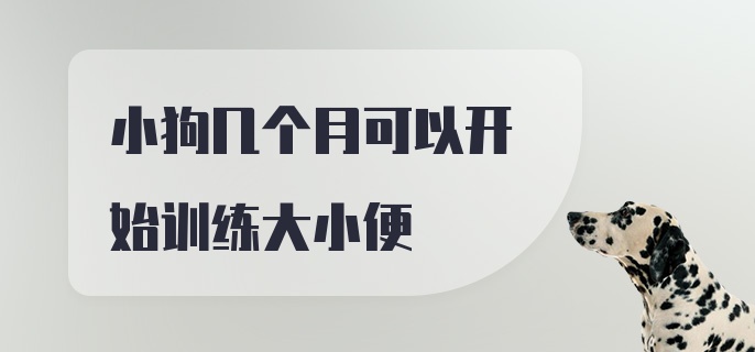 小狗几个月可以开始训练大小便