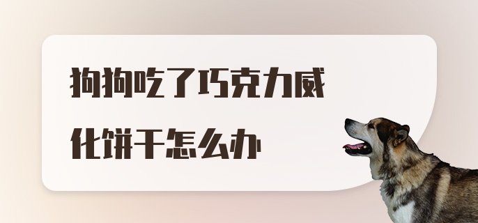 狗狗吃了巧克力威化饼干怎么办